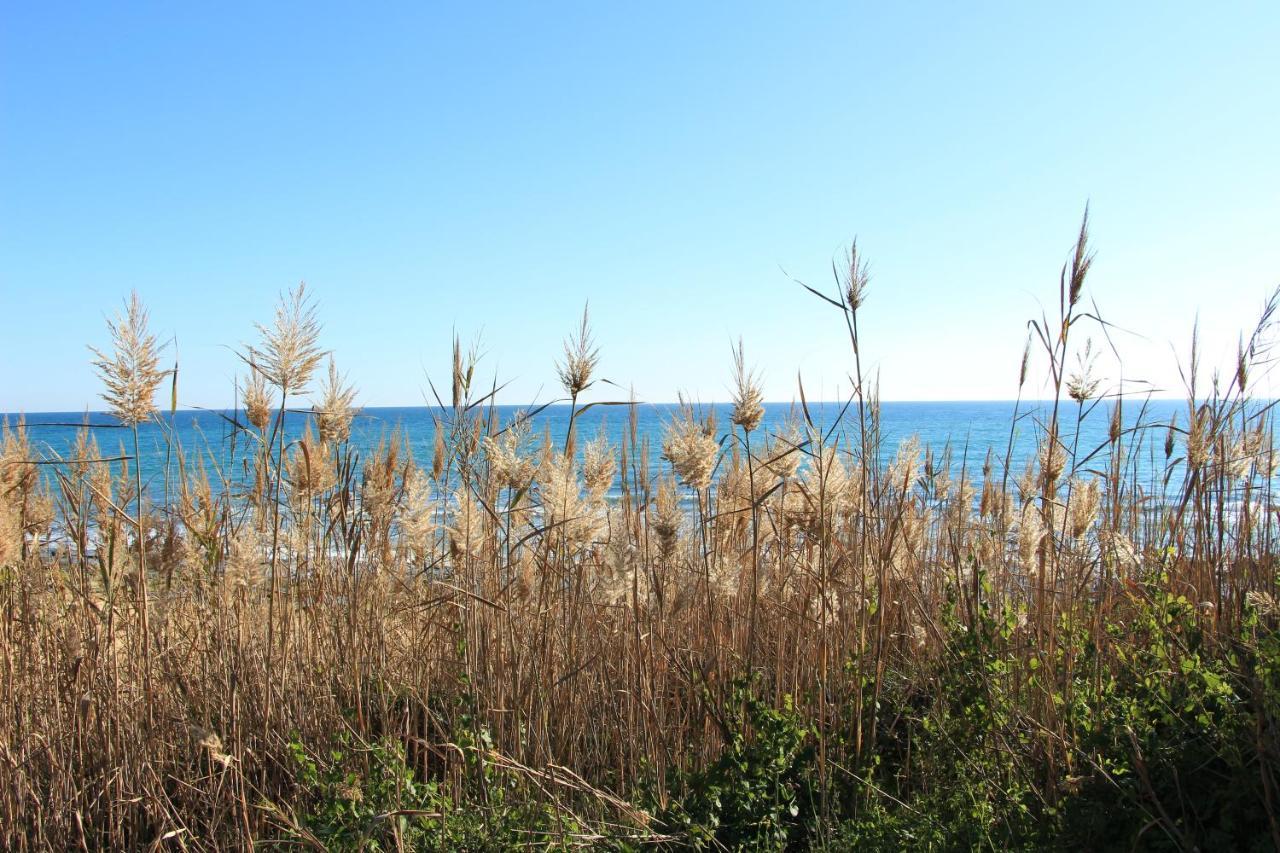 Apartamento Da Falesia Apartment Albufeira