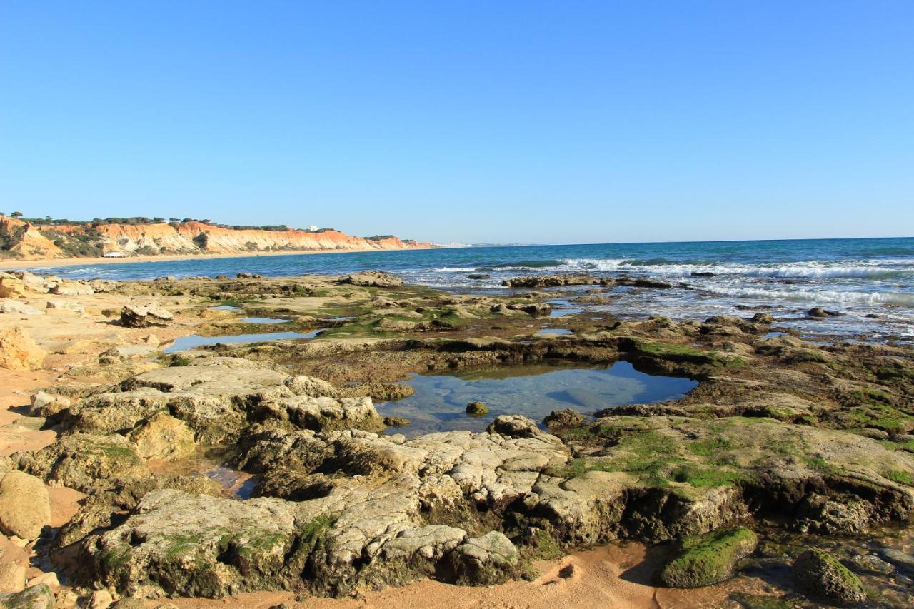 Apartamento Da Falesia * Albufeira