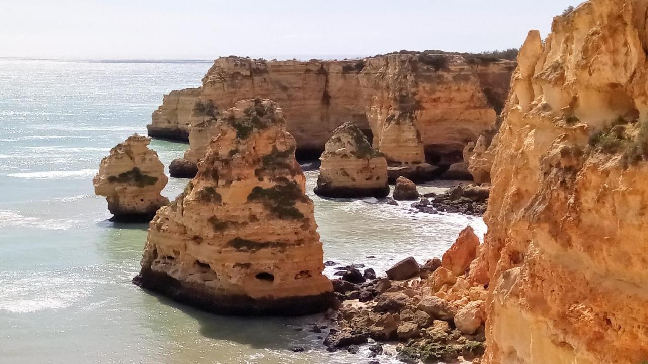 Traditional In Albufeira