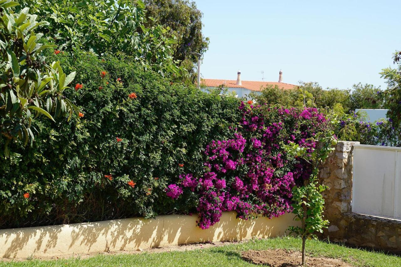 Villa Pinheiro
