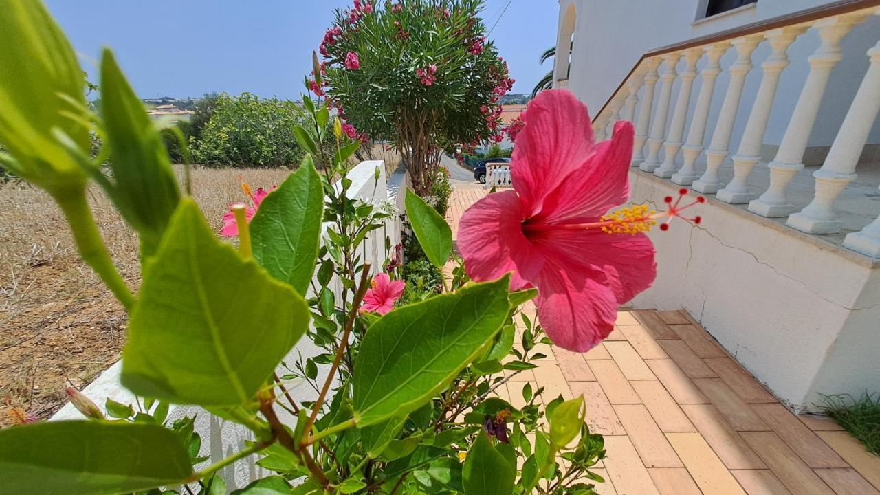 Apartment Traditional In Albufeira