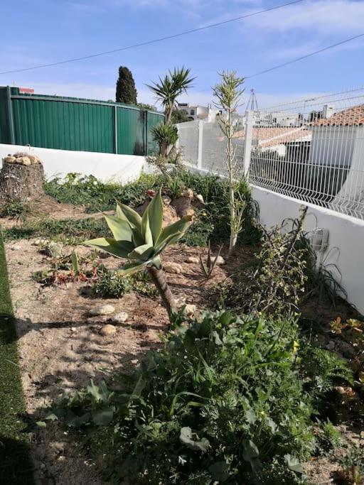 Airy 3br, Ac, Garden, 2min Strip, 8min Oura * Albufeira