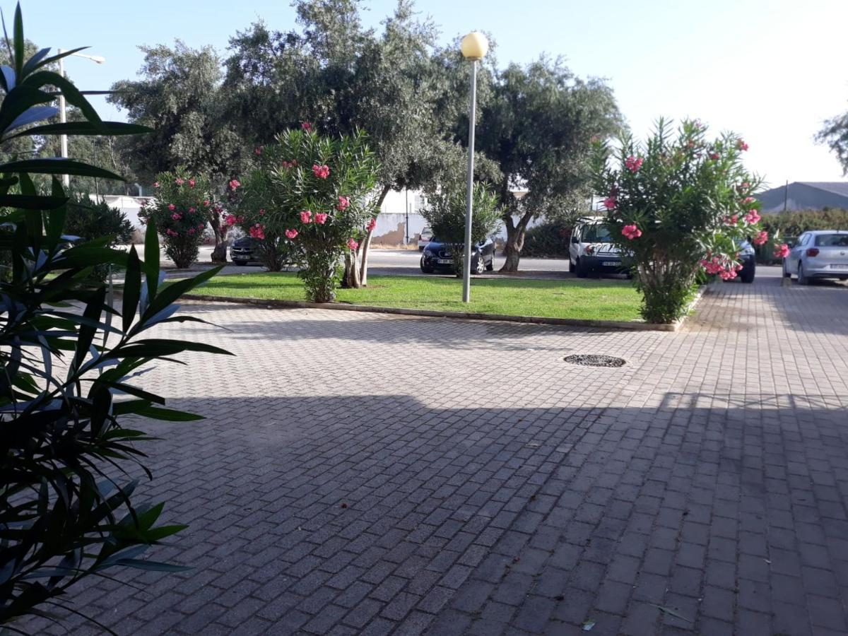 Alfamar Falesia Algarve With Pool Fantastic *