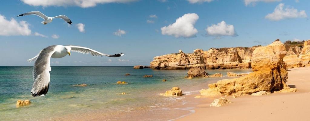 Espacoso T2, Em Olhos Agua * Albufeira