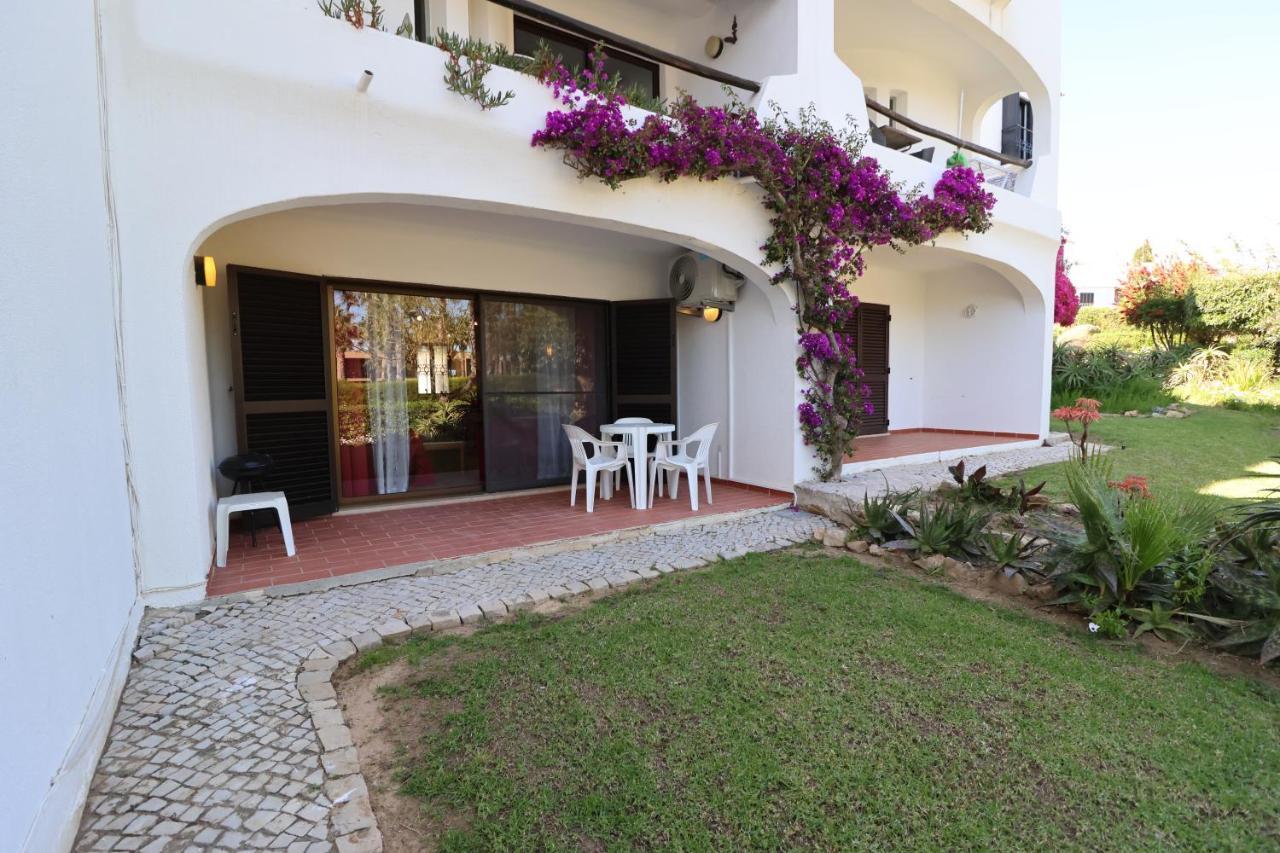 Camelia 68 At Sao Rafael - *