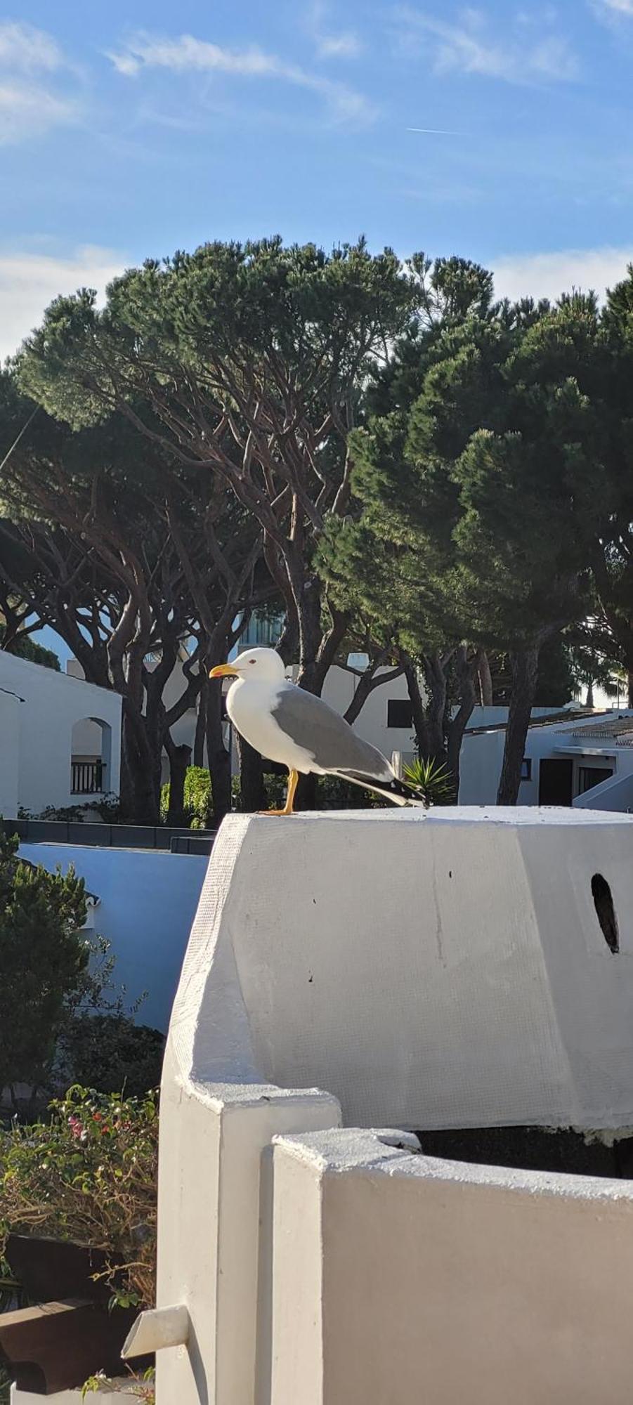 P209 Situe Au Sein De Balaia Golf Village * Albufeira