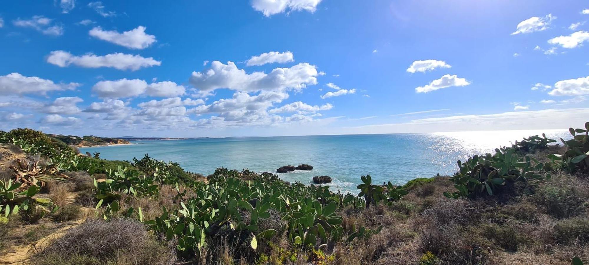 Beachfront Flat, Private Parking, Pools, Sea At Less Than 200 M (adults Only) * Albufeira