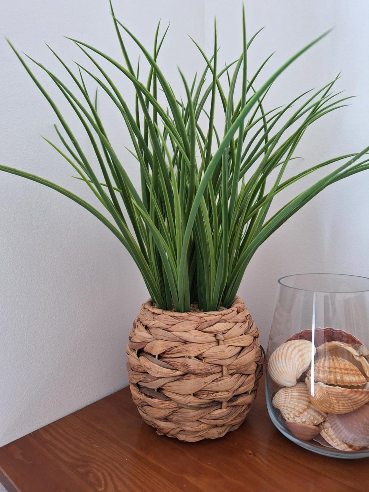 Appartement Ondasol- Acolhedor T2 Na Velha *