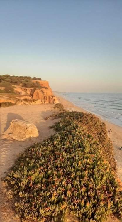 Alfamar V3 Falesia Beach *
