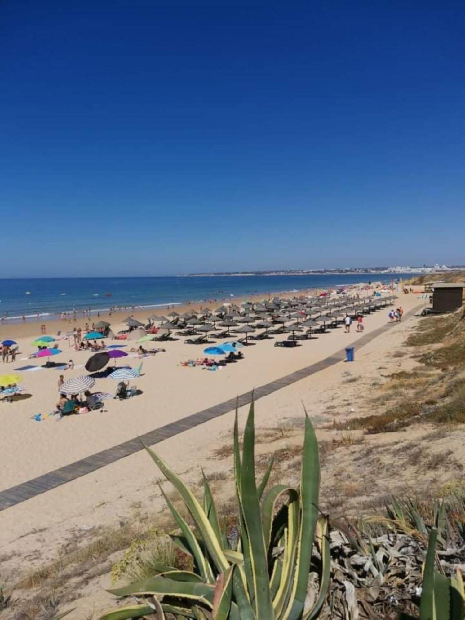 Apartamento Ground Floor Palmeira With Pool *