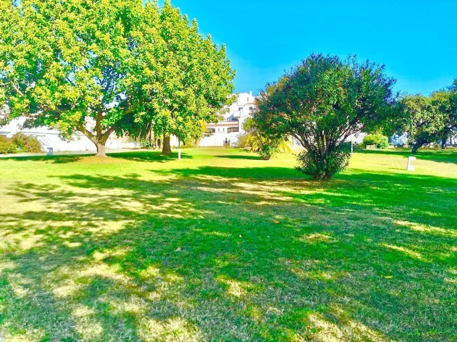 Apartment T1, Da Oura *