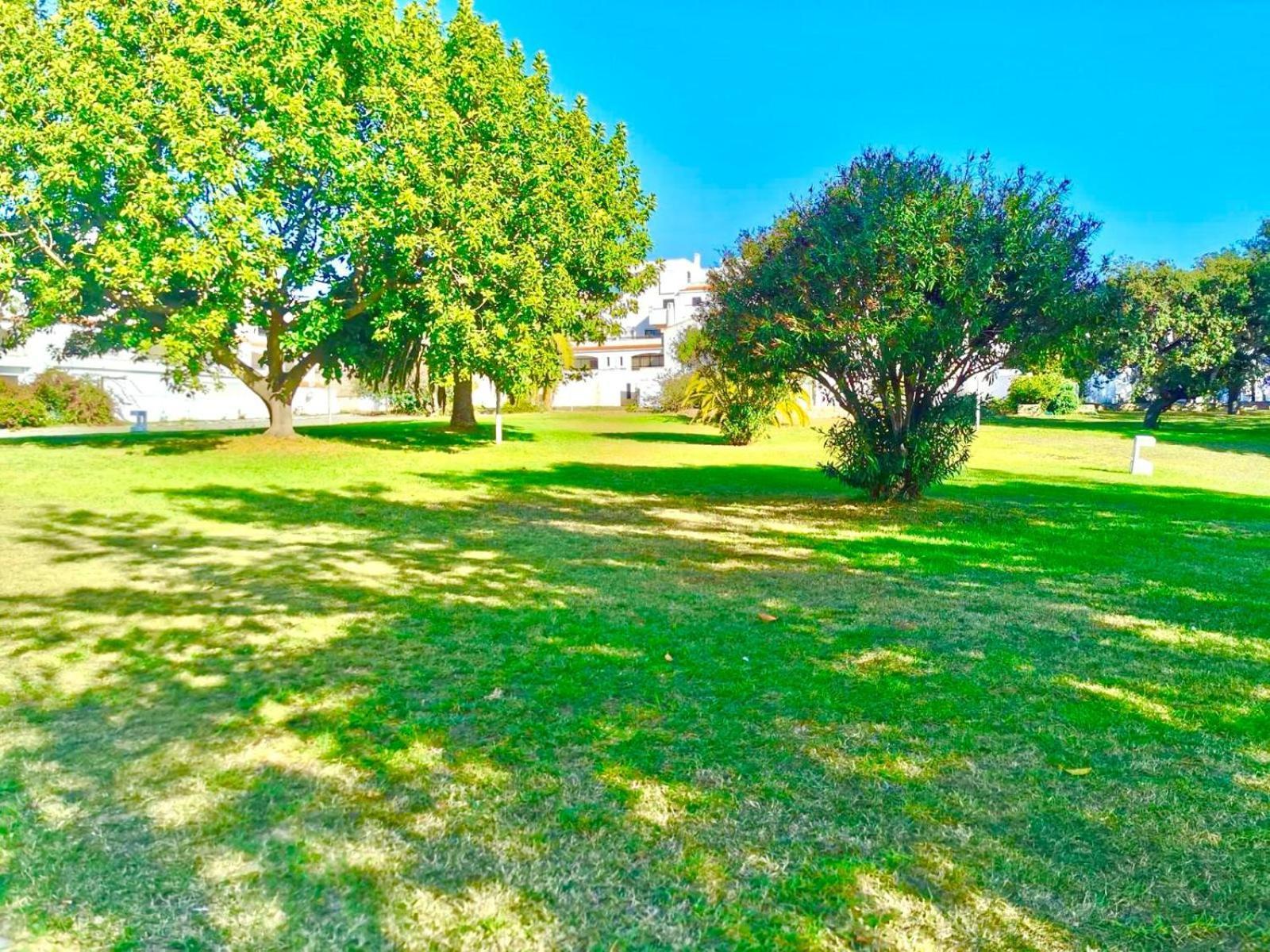 T1, Da Oura Albufeira