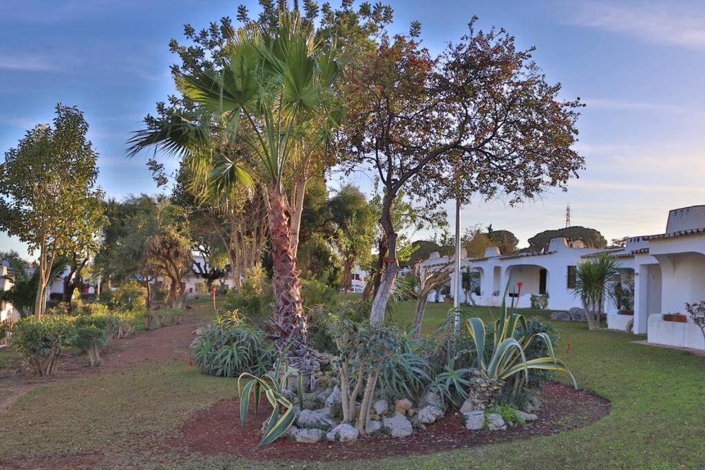 Excellent 1 Bedroom - Em Clube Garden Village
