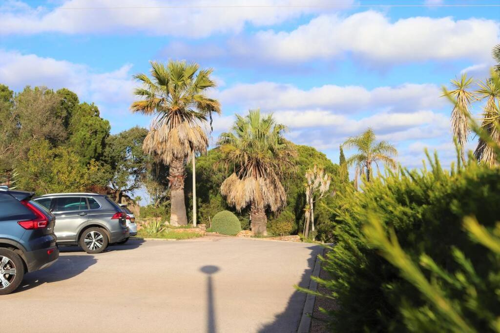 Excellent 1 Bedroom - Em Clube Garden Village *