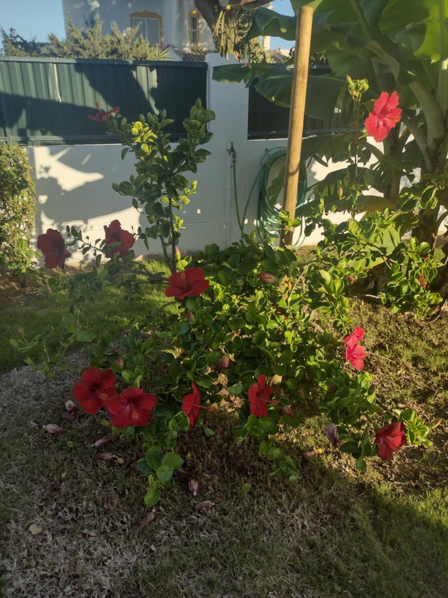 Villa Nightingale