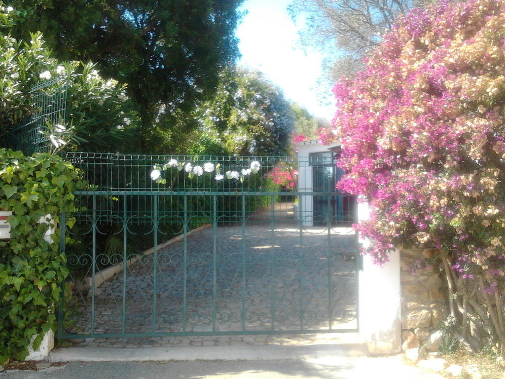 Villa Quinta Das Flores *