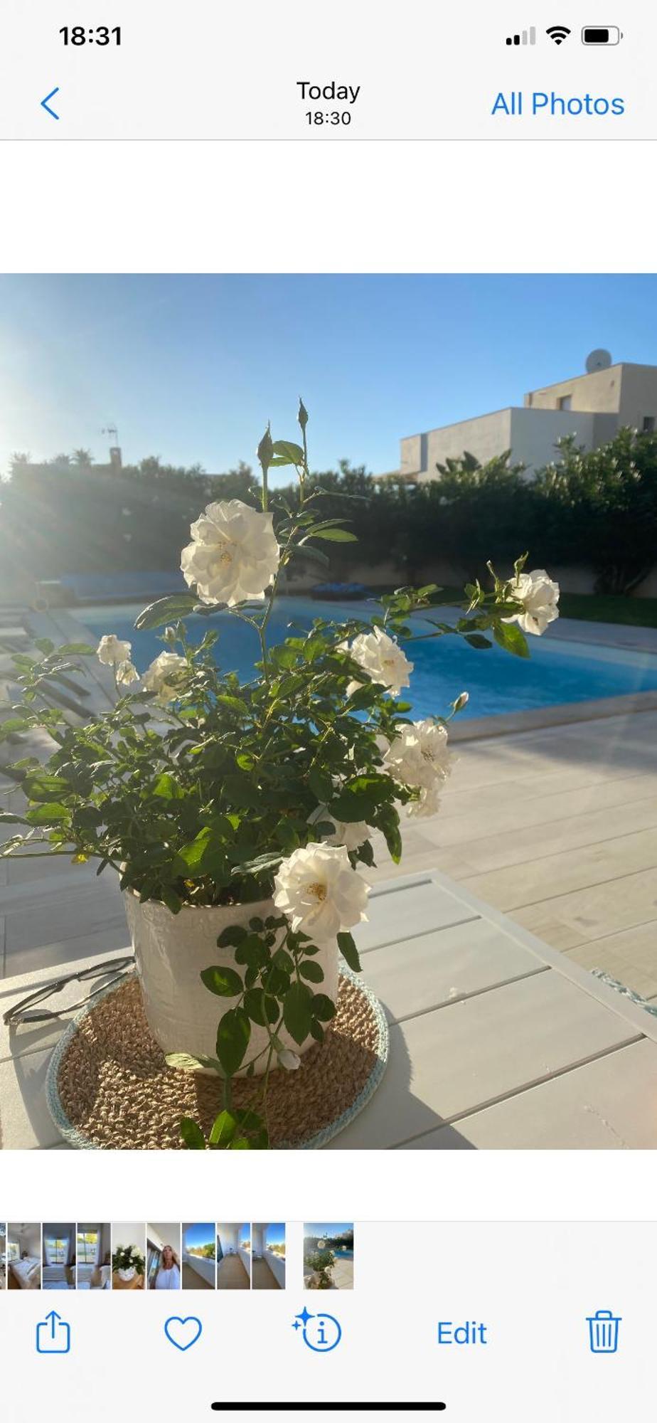 Isabella Blue Albufeira