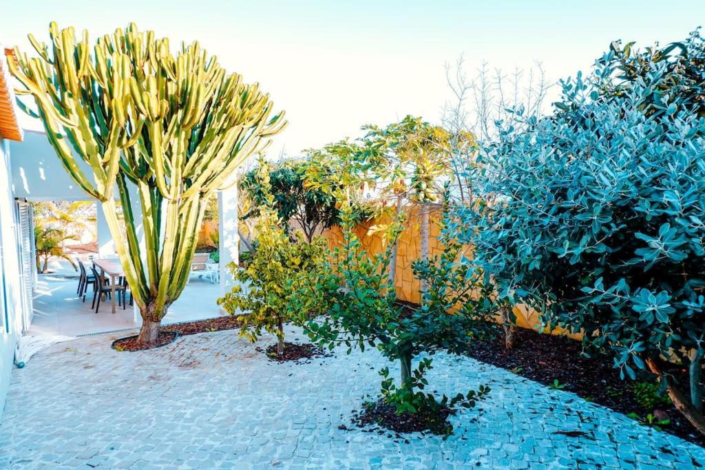 Natura - The Oasis Dream Villa *