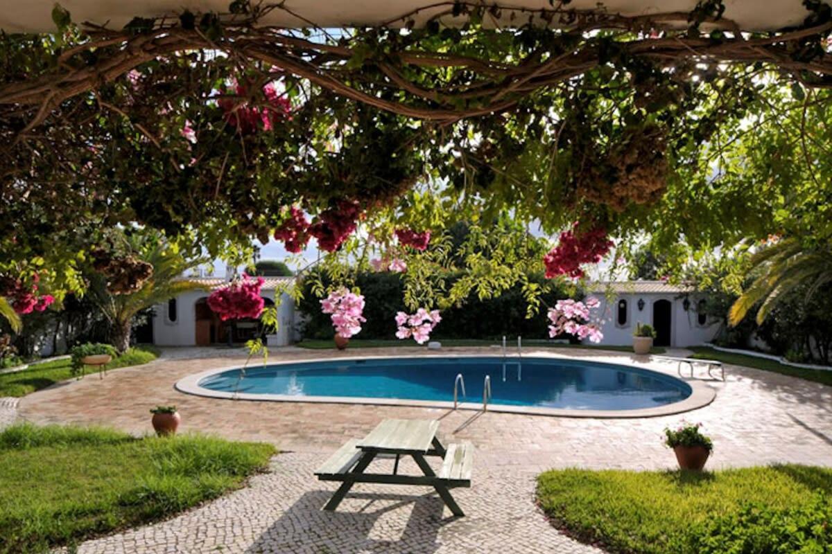 Casa Gondi - Right By Gale - Large Lush Gardens *