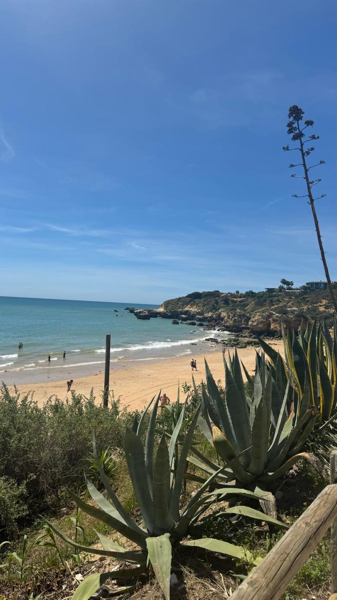New Algarvegas Paradise *