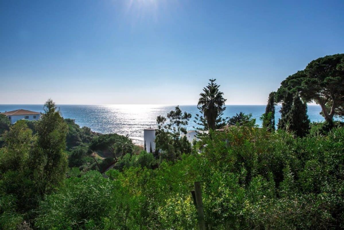 Mauri Luxe - Beautiful Beachfront *