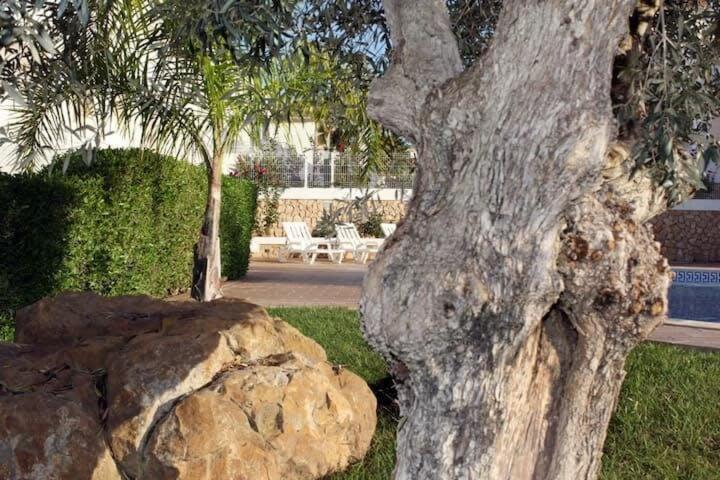 Holiday home Arade - Complex Ideal For Families *