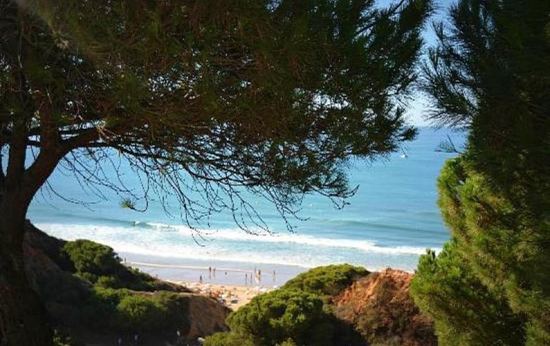 Acolhedora 371, 3 Quartos, Balaia Golf Village * Albufeira