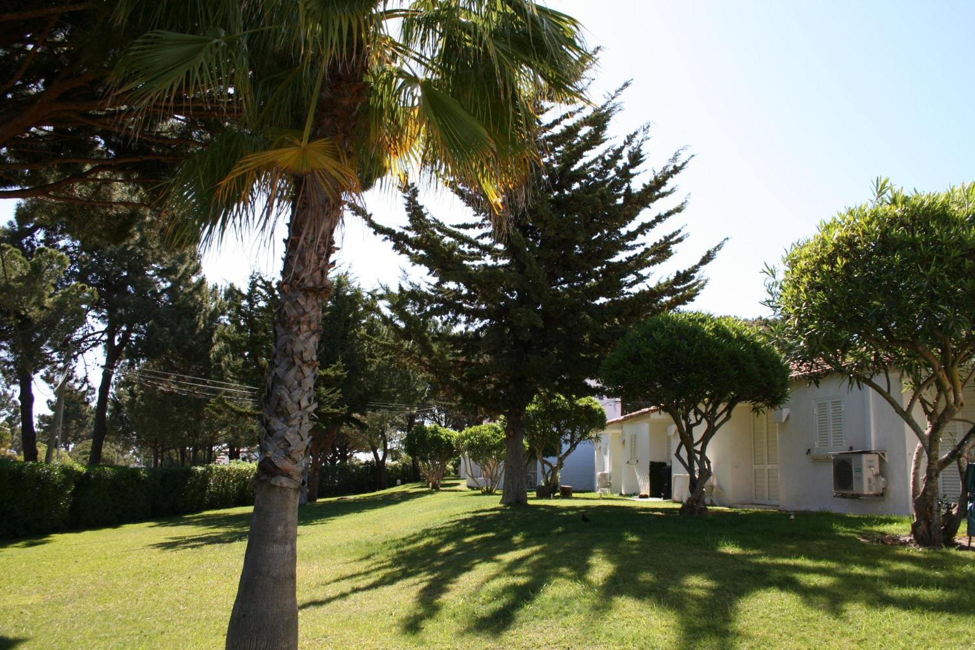 Aldeia Da Falesia Apartment