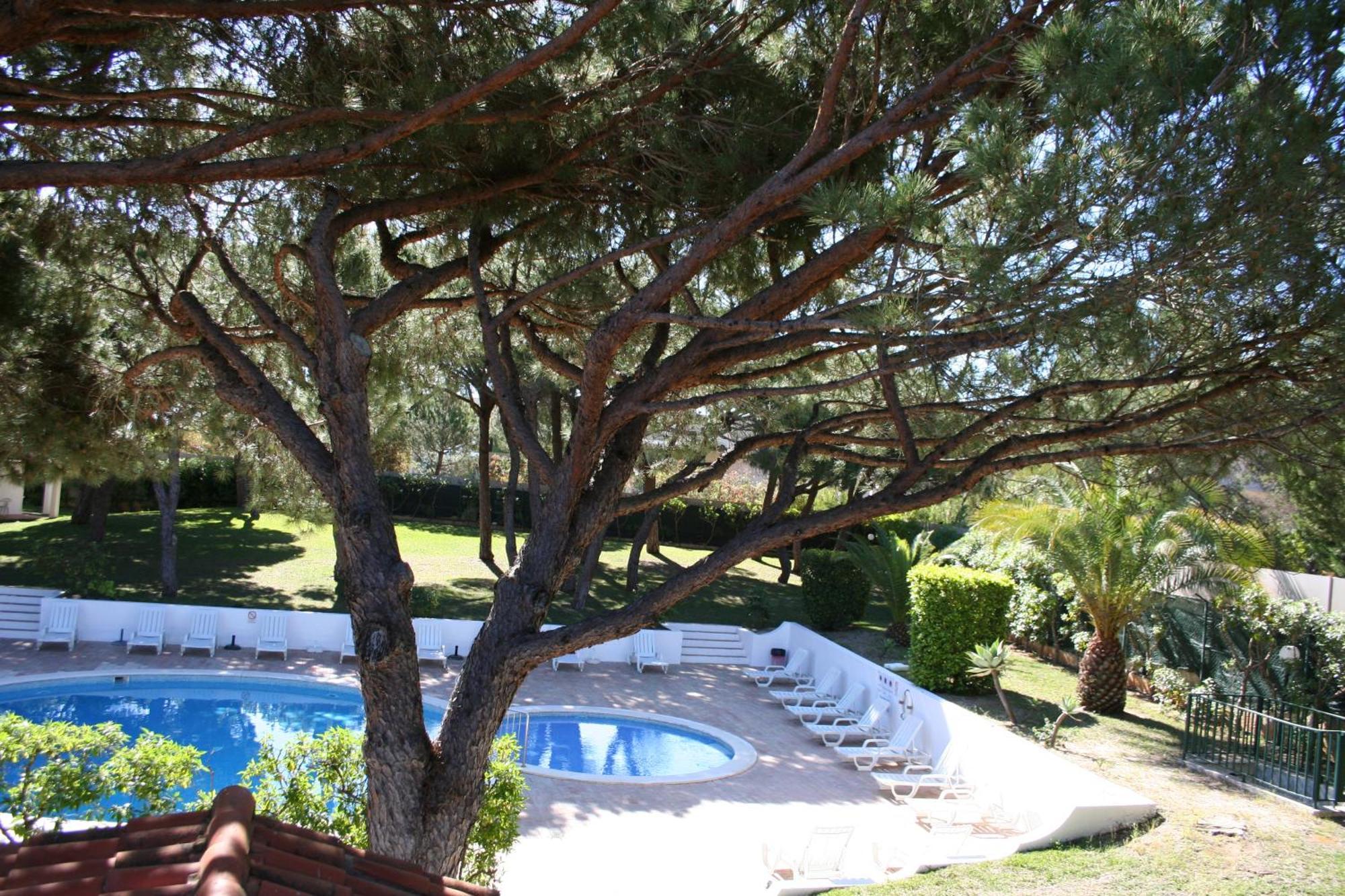 Aldeia Da Falesia
