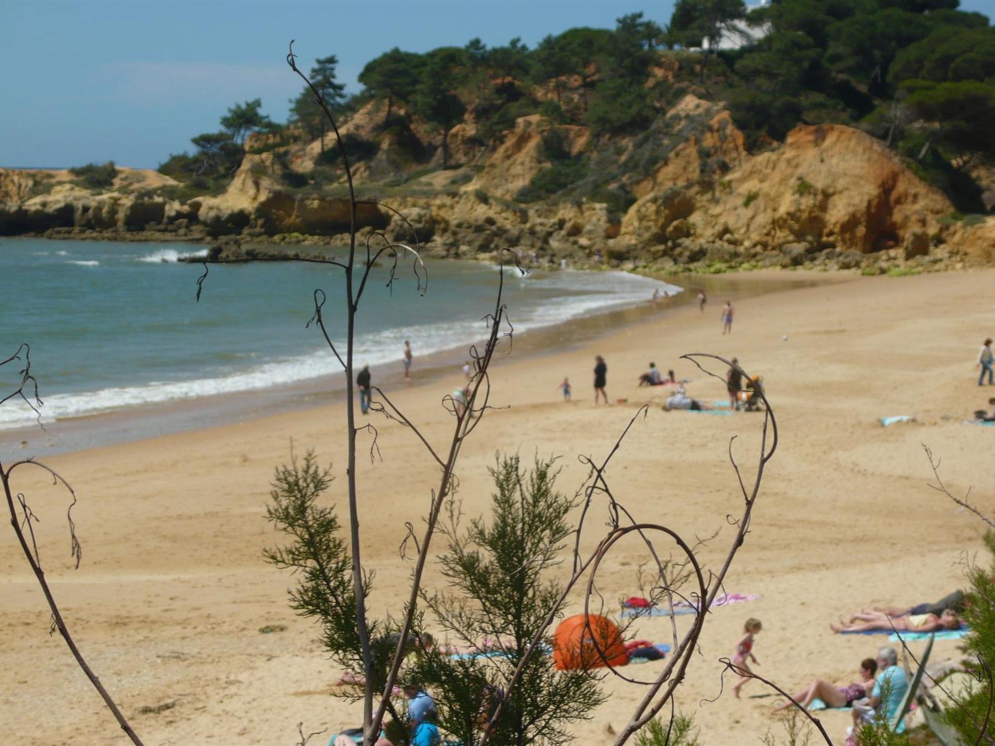 Hotel Agua Marinha Rosa-