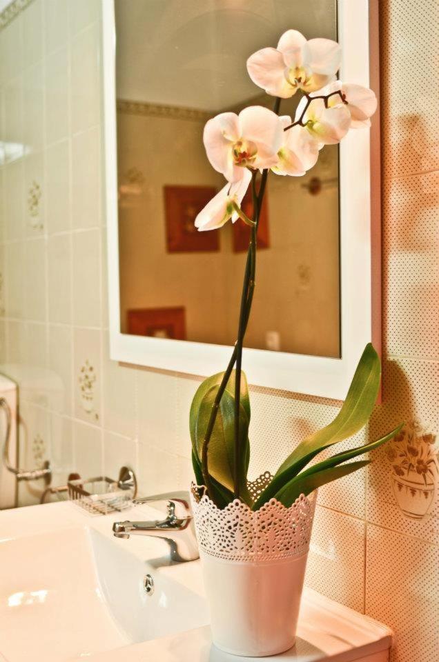 Apartamento Quinta Amendoeiras Albufeira