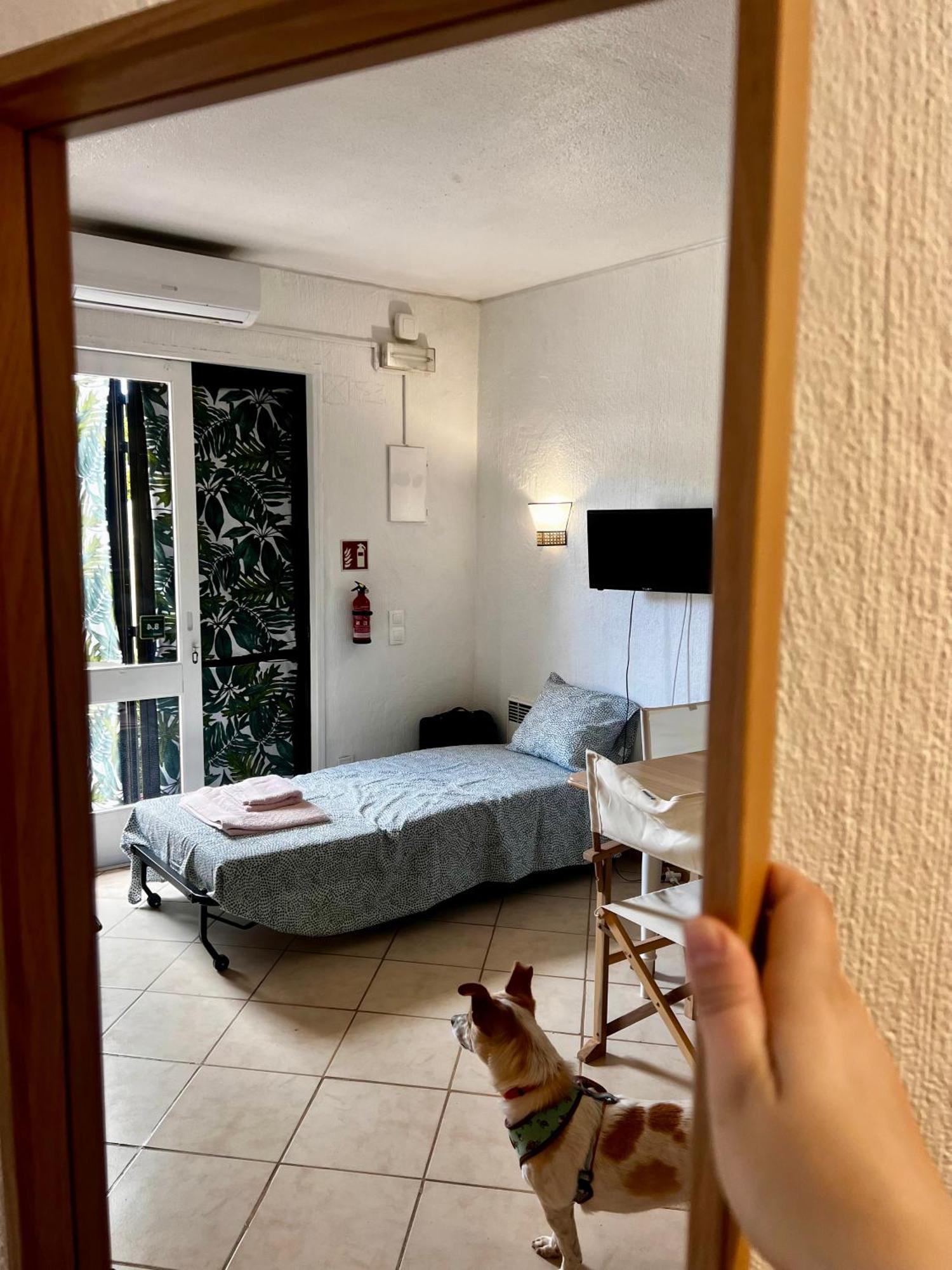 Apartamento Jardim T0
