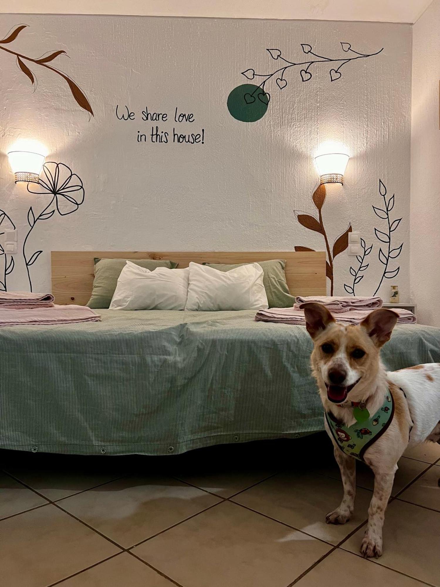 Apartamento Jardim T0