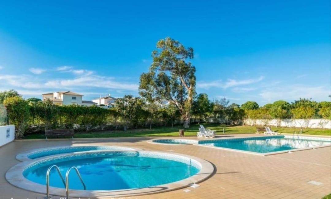 Flamingo's W/ 2 Swimming Pool