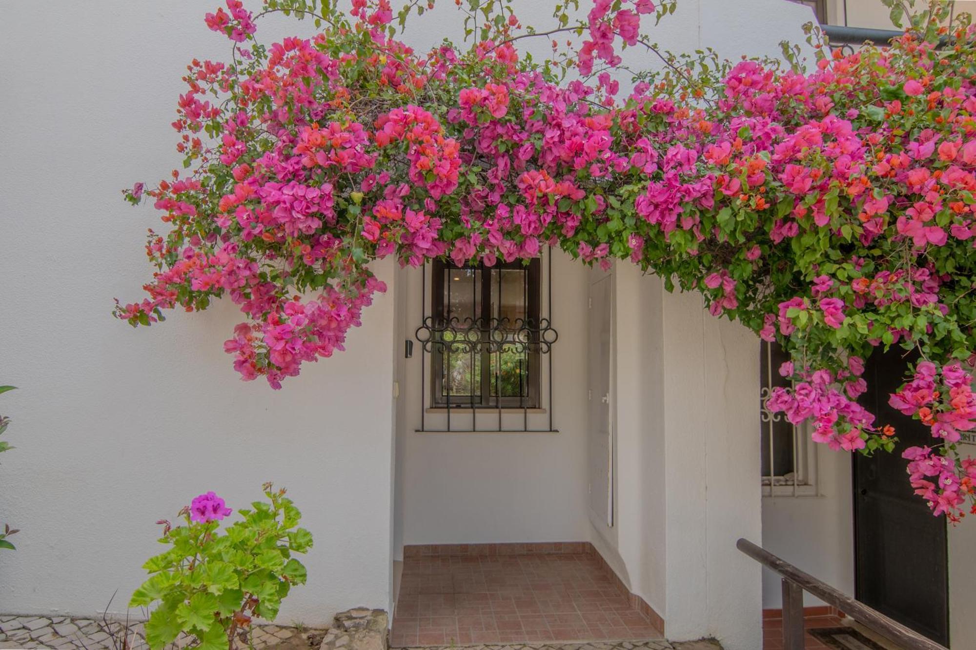 Coastal Retreat, By Drago * Albufeira