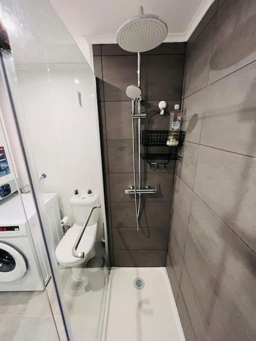 Oura Strip Studio Flat