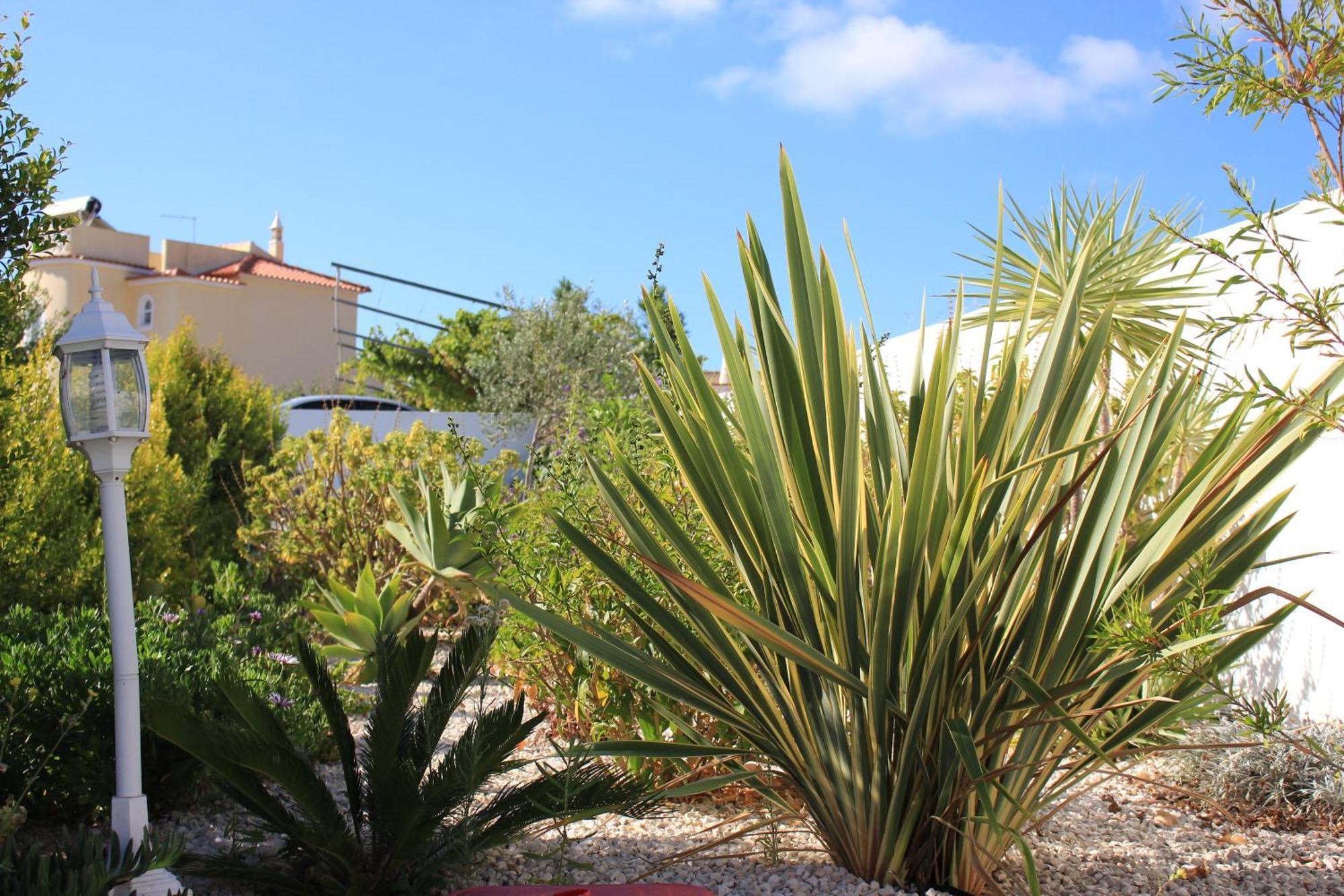 Sunshine * Albufeira