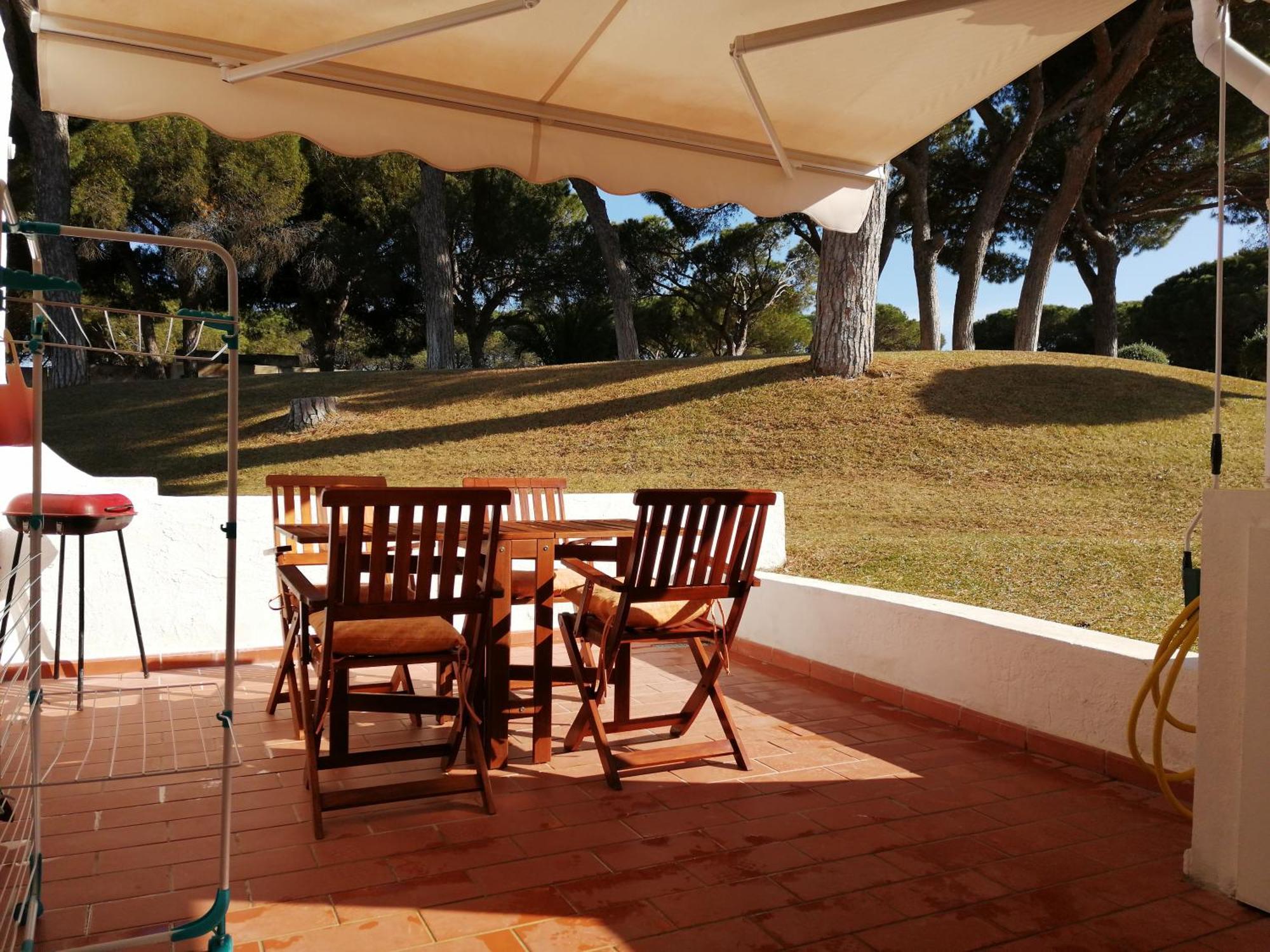 Arvore Da Vida * Albufeira