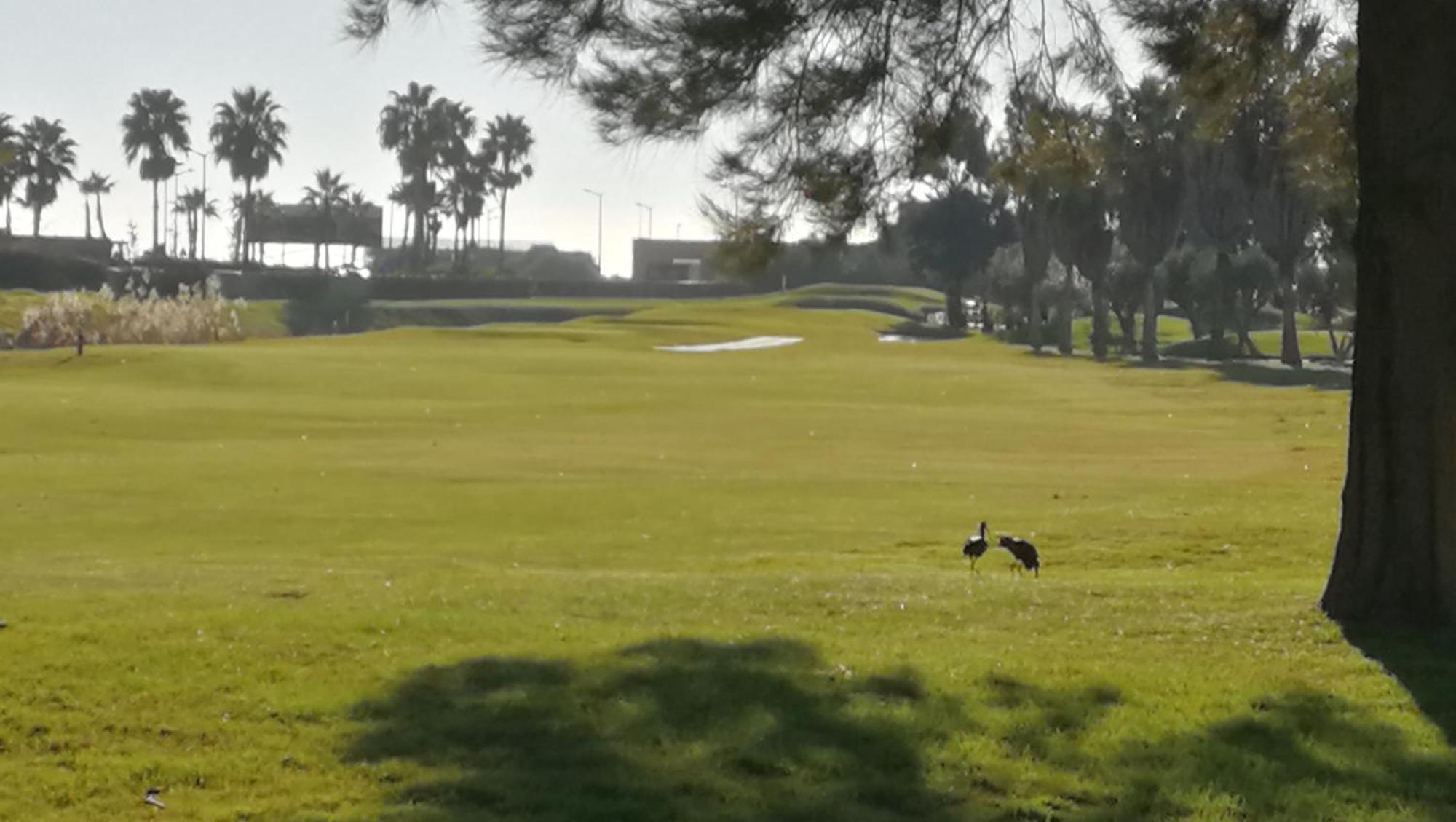 Salgados Beach&golf - Dos Salgados Apartamento *