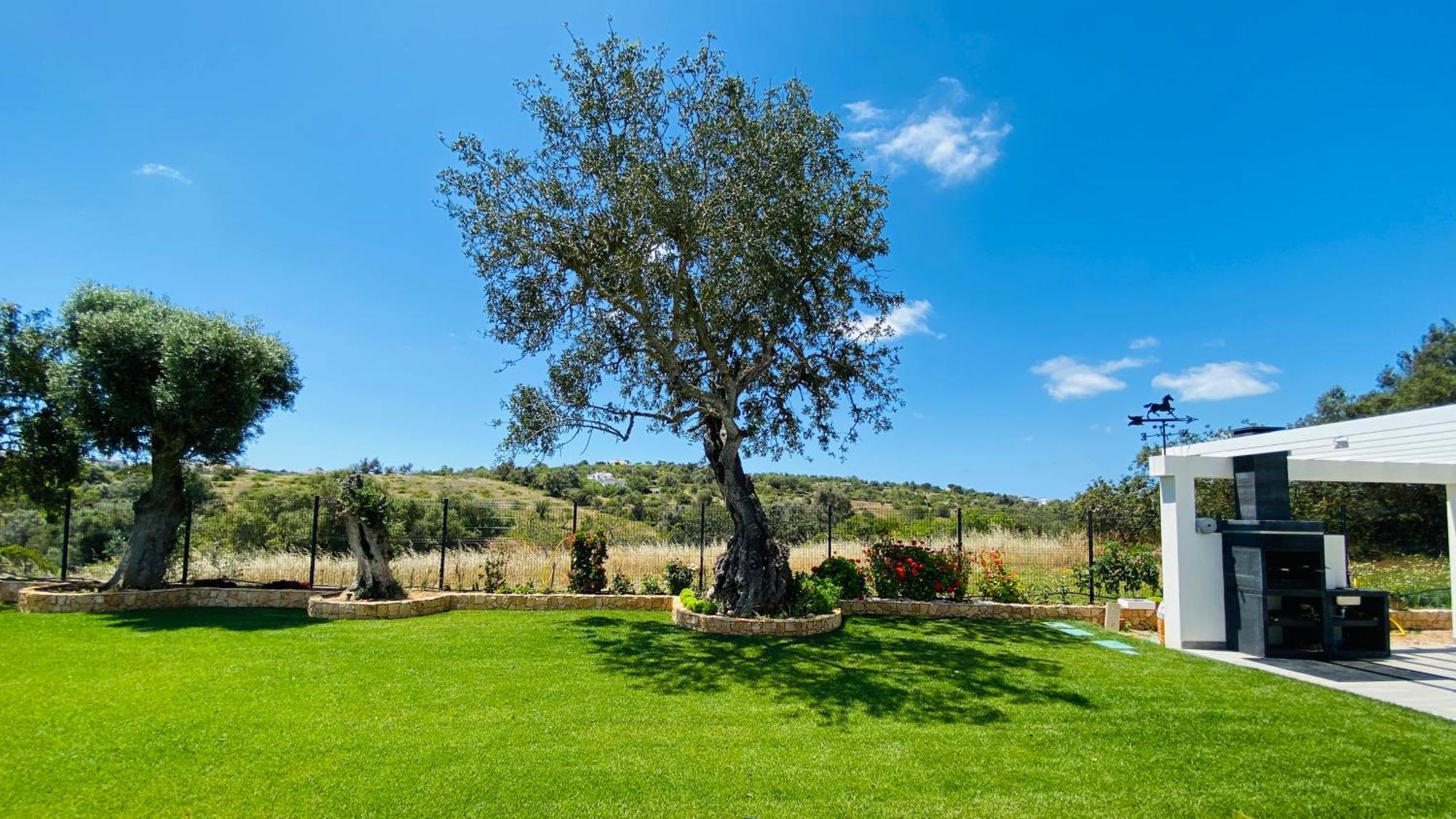 Eden By Check-in Portugal *