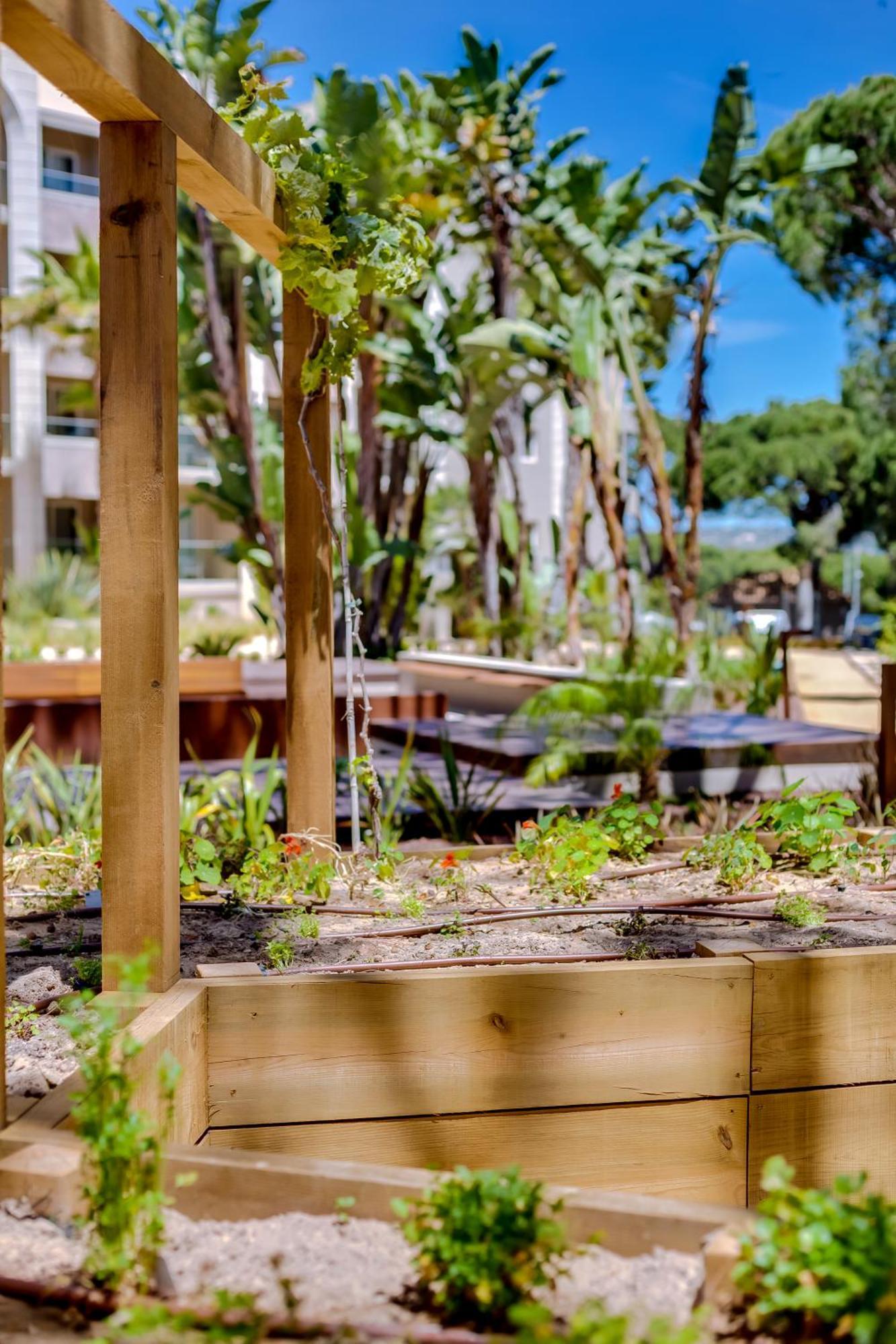 Falesia - Adults Only Albufeira
