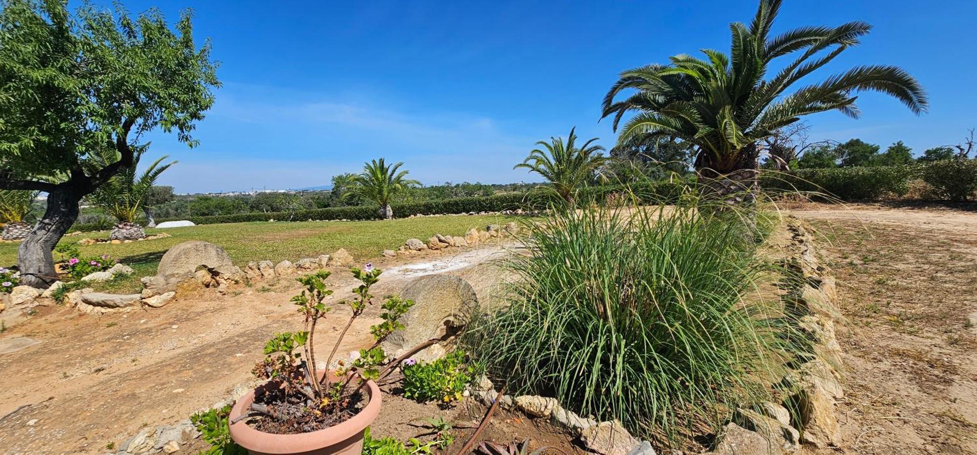 Quinta Do Lagar Casa de férias