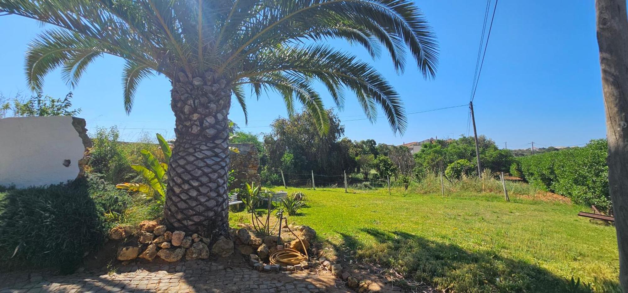 Casa de férias Quinta Do Lagar *