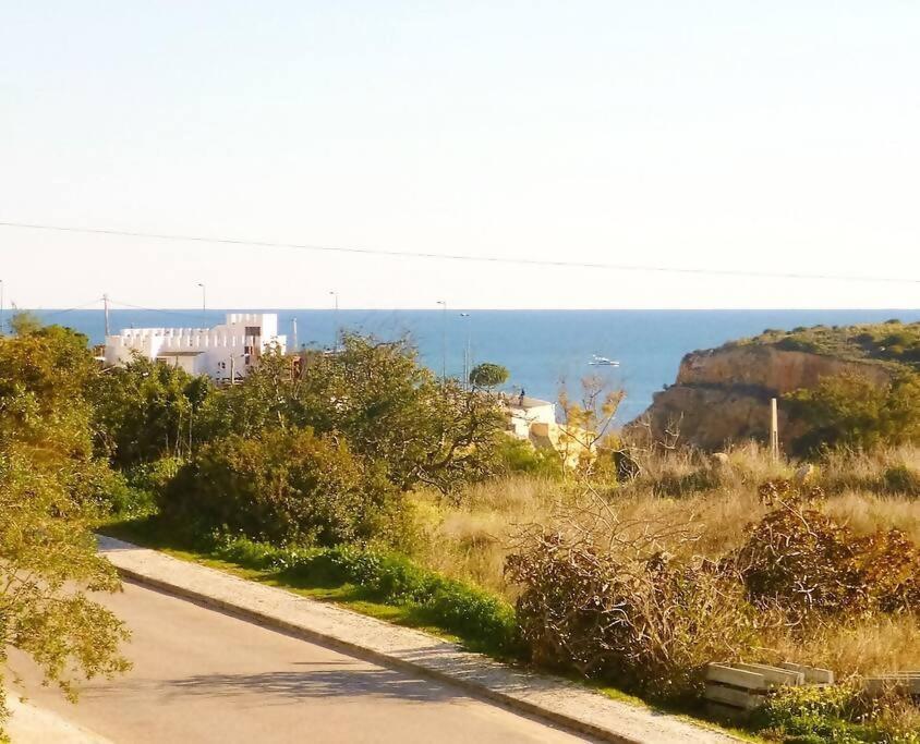 Ventura Marina