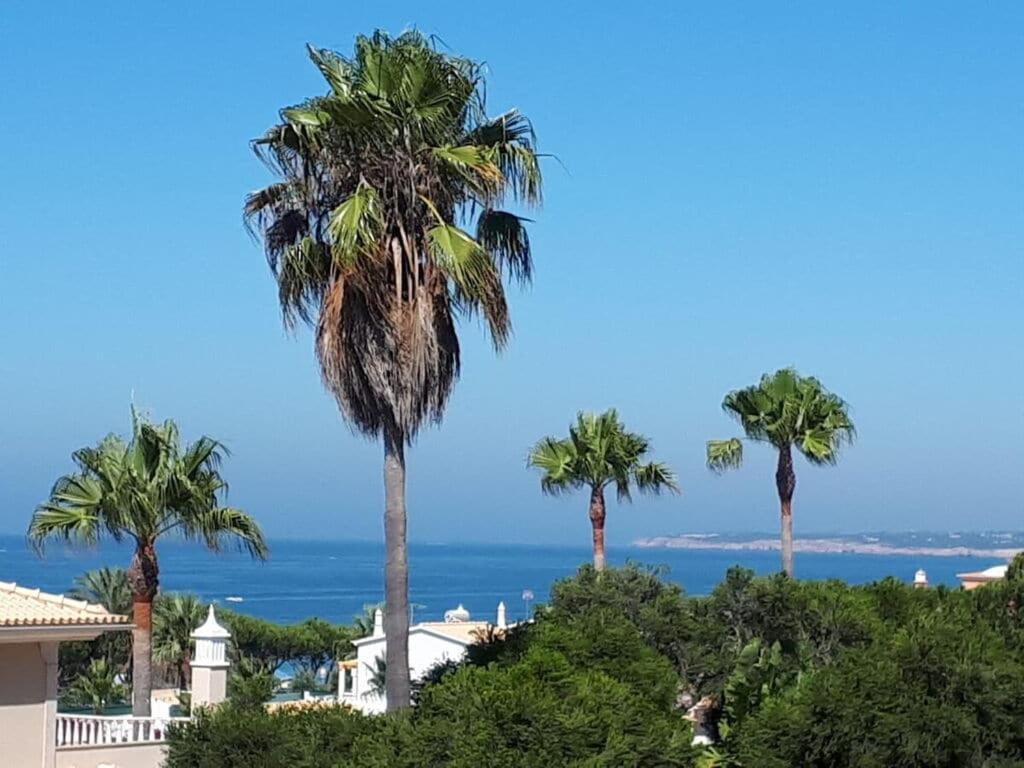 Solmar - Pool With Sea Views