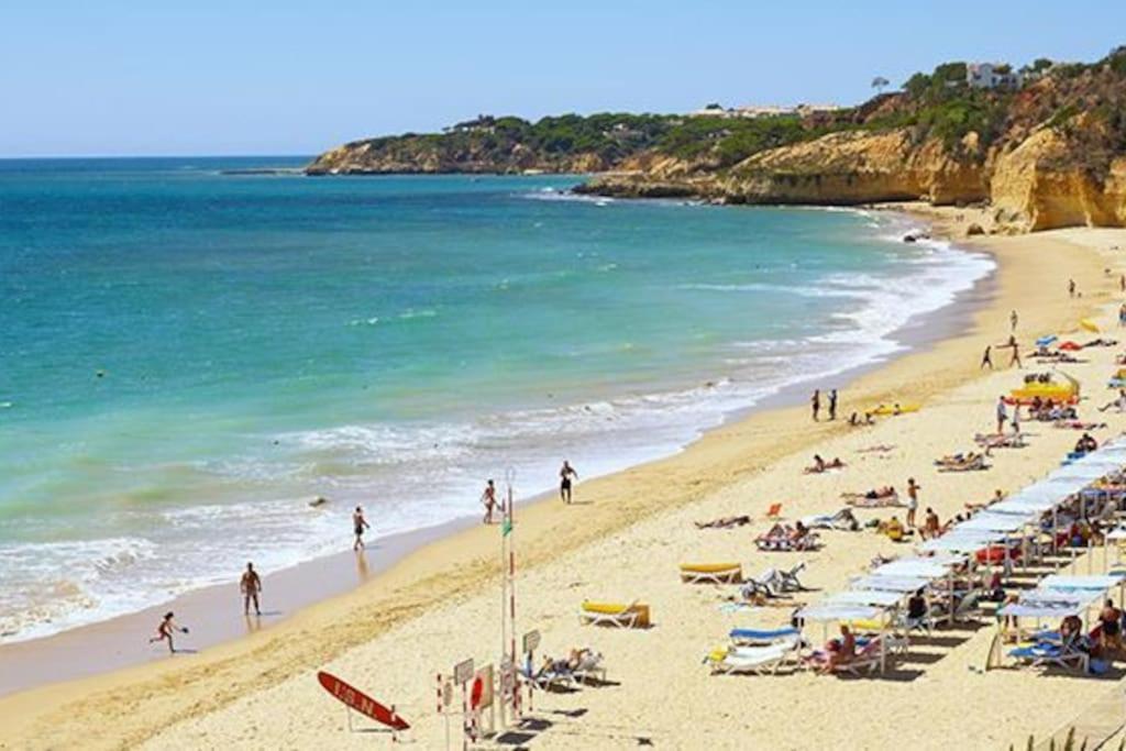 Amaral's - Algarve Apartment *