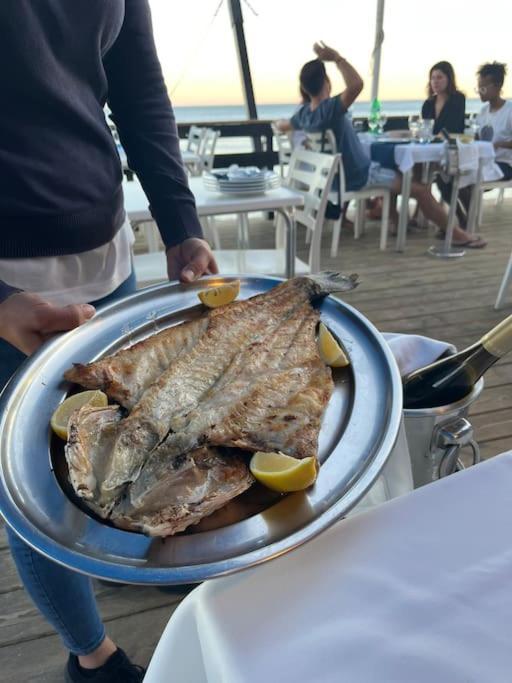 Amaral's - Algarve Albufeira