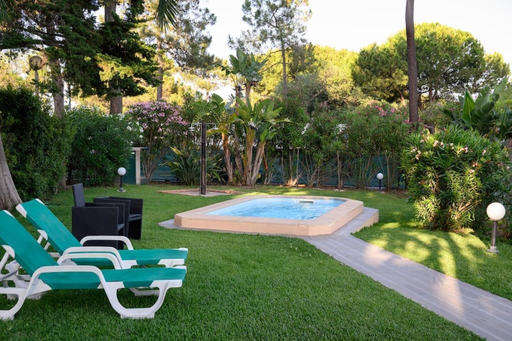Amaral's - Algarve * Albufeira