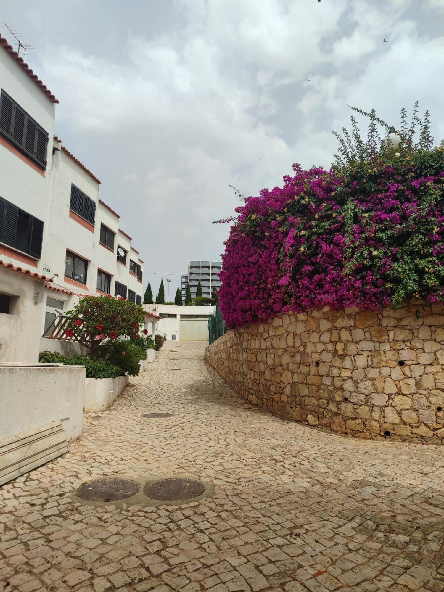 Center Monte Choro Flat With Pool *