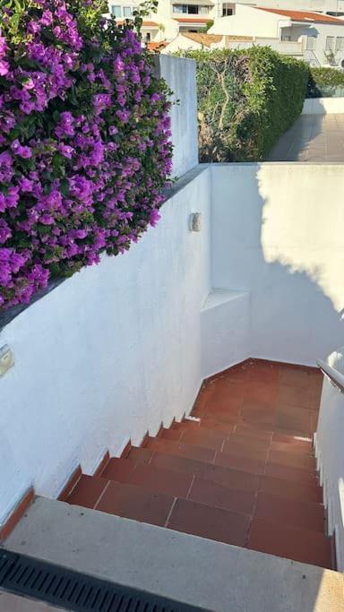- Sun, Pool And Marina View! * Albufeira